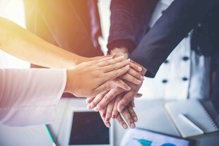 团队齐心协作共筑成功