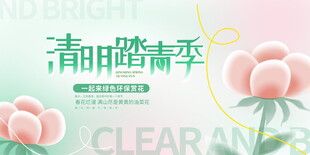 清新花卉邂逅晴朗季节
