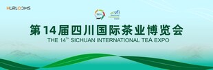春茶展
