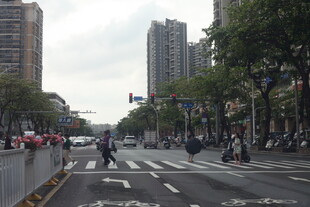 湛江城市街道行人过马路场景