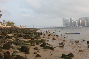 湛江海滨滩涂风光