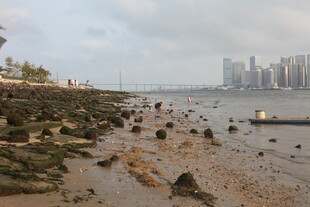 湛江海滨礁石与远处城市景观