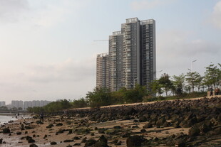 湛江河畔高楼景观