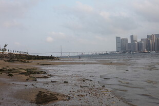 湛江海滨城市风光