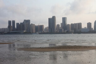 湛江海滨城市天际线景观