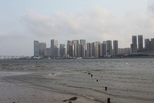 湛江城市江畔滩涂景色