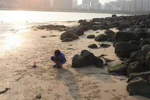 湛江海边孩童专注玩沙场景