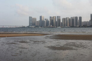 湛江城市江畔滩涂风光