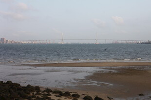 湛江海边风光 宁静的滩涂景色