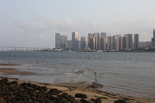 湛江海滨城市风光远眺