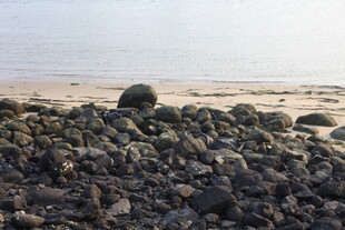 湛江海边礁石景观