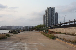 湛江城郊道路旁的高楼景观