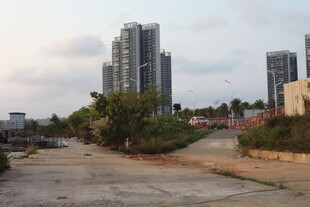 湛江城郊待开发区域与高楼