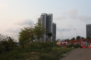 湛江城市高楼与绿植景观