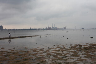 湛江阴天海边滩涂景象