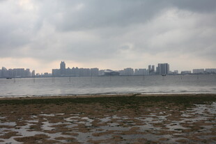 湛江海滨城市阴天景象