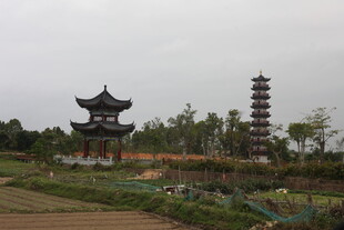 湛江中式园林古塔风景