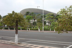 湛江城市中绿树环绕的现代建筑