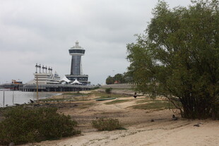 湛江海滨灯塔与岸边绿树景观