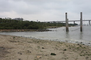 湛江河边景致