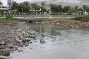 湛江河边景致