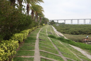 湛江乡间小径与远处桥梁景观