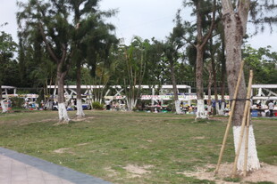 湛江户外停放的多辆白色大巴