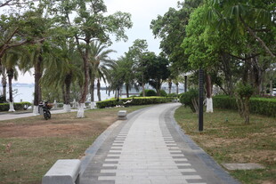 湛江林间漫步道 绿意盎然处