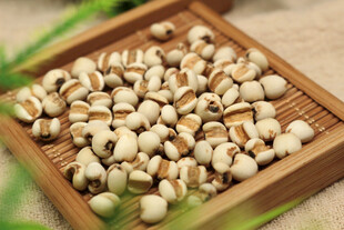 中药薏米五谷杂粮薏苡仁祛湿气