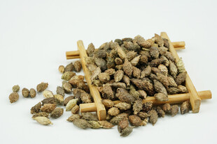 中药材草药苍耳子