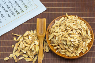 中药材黄芪高清