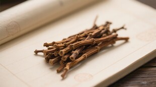 桑寄生桑寄生科中药材寄生植物祛