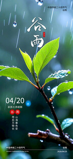 谷雨海报