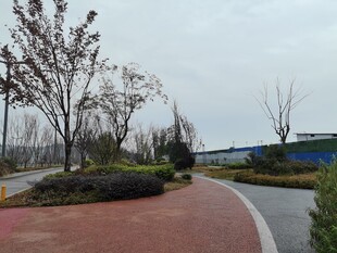 城市中的宁静景观步道