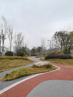 城市公园蜿蜒小径景观