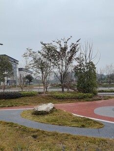 城市公园中的多彩步道景观