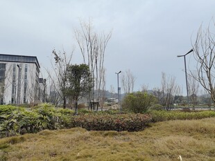城郊旷野风景