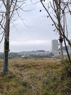 城郊荒野景象