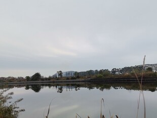 宁静湖畔风光