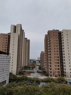 城市高楼景观