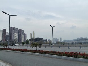 城市道路旁的高楼与景观