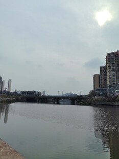 城市河畔风景
