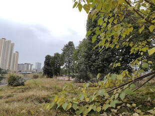 城郊自然景观绿植与建筑