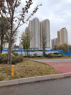 城市街边风景