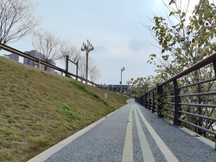 城市中的幽静步道