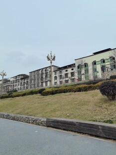 路边的多层建筑群