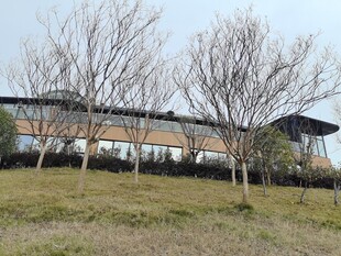 郊外简约建筑与开阔草地