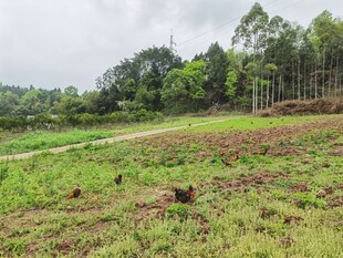 乡村田野间的开阔风景