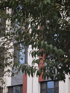 枝叶掩映下的建筑一角