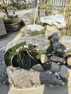 庭院别致水景石景景观